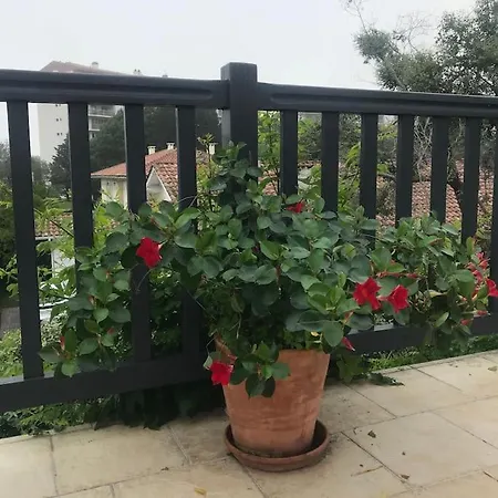De 100 M2 A A 5 Min Des Plages Ανγκλέ